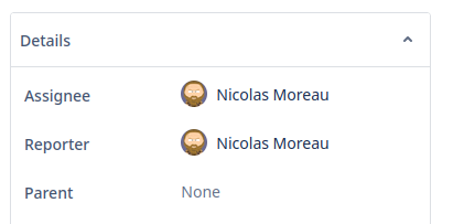jira_issue_details.png