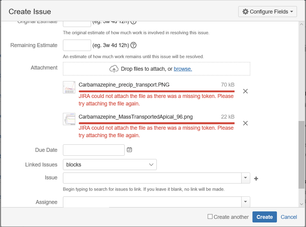 Jira_bug_4.png