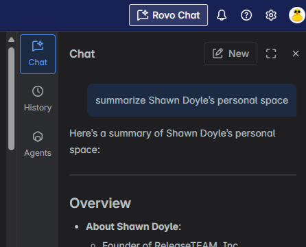 rovo_chat.png