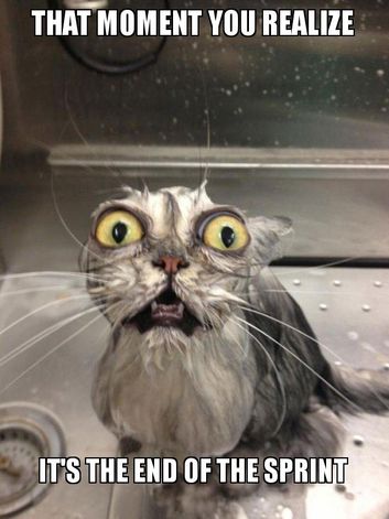 that-moment-you-594c30.jpg