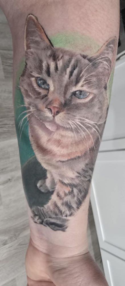 Gracie.jpg