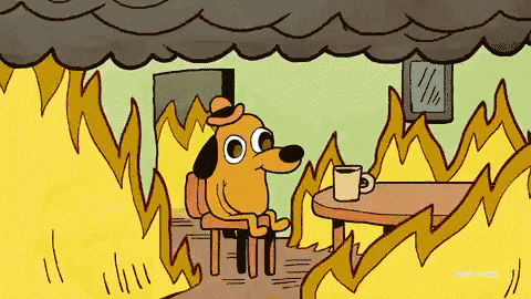 87c944ca-01d9-4d4b-8b94-1c6c41f469b9.gif