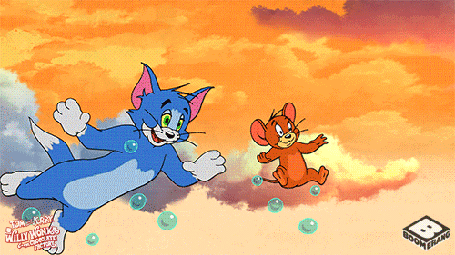 Happy Tom And Jerry GIF by Boomerang Official.gif
