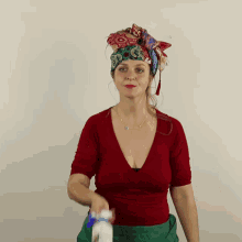 novy-start-cleaner.gif