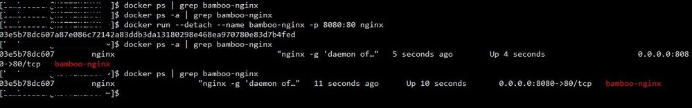 docker ps with empty result.JPG