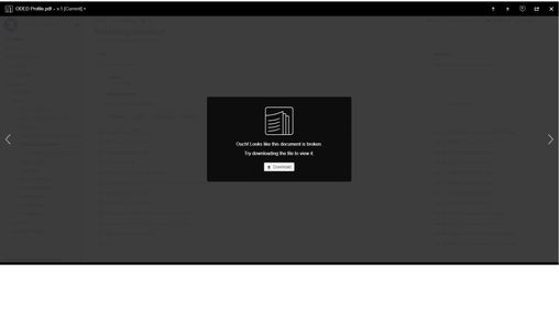 pdf error.jpg