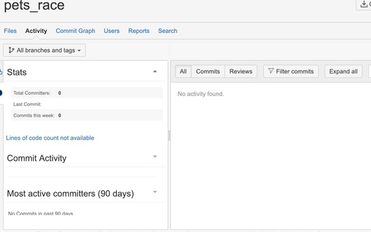 Repository no activity.png