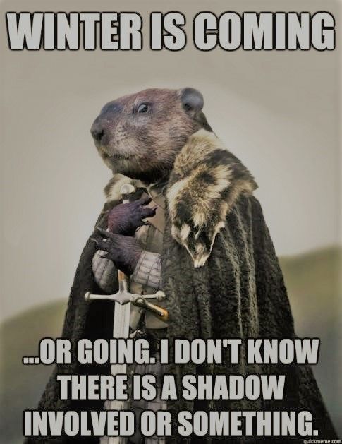 funny-groundhog-day.jpg