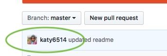 githubAccount.jpeg