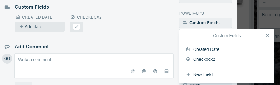 Custom_field.png