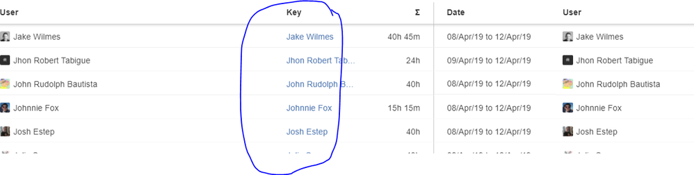 Jira Ids.PNG