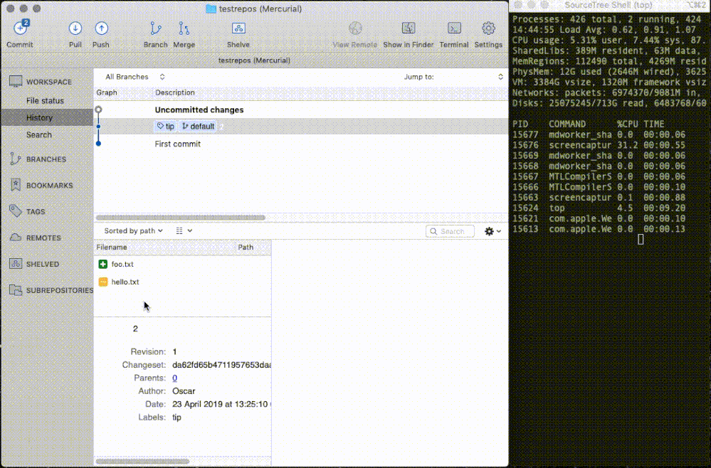 Sourcetree_3.1.2_Mercurial_browse_slow.gif