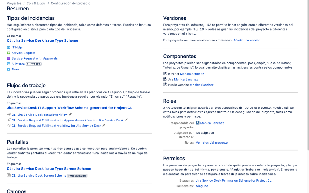 Project Summary 1.png