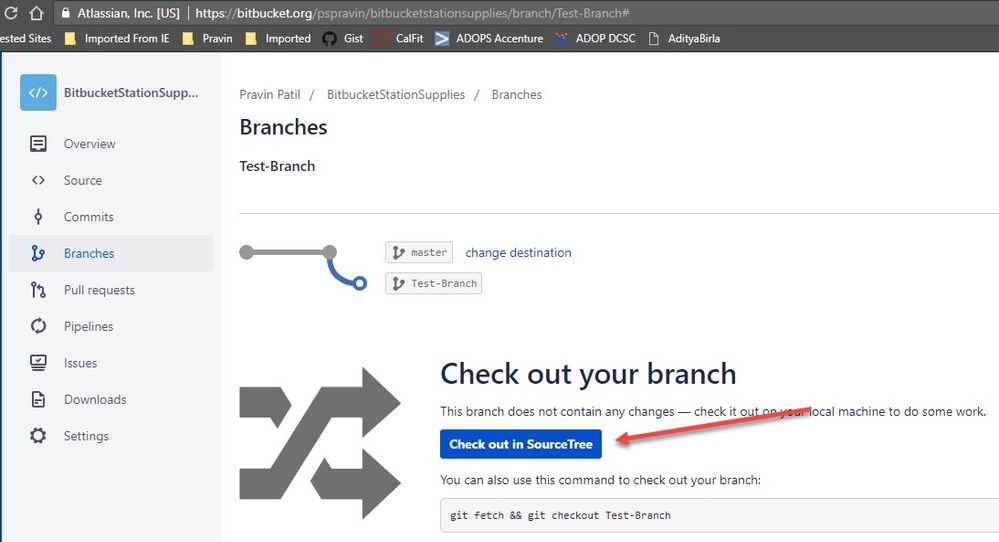 SourceTree-BitBucket-Issue.jpg