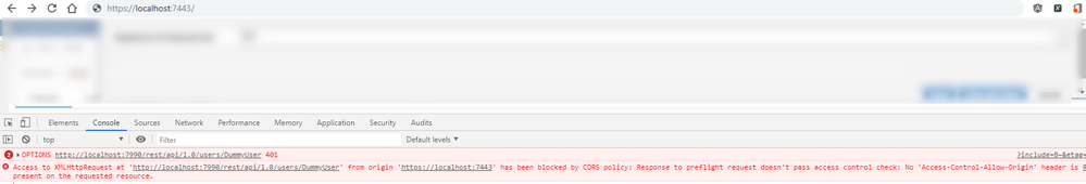 CORS_Issue.png
