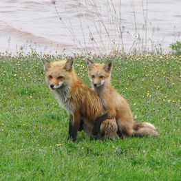 IMG_3064.JPG
