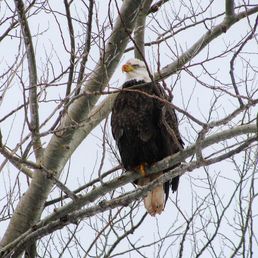 IMG_3062.JPG