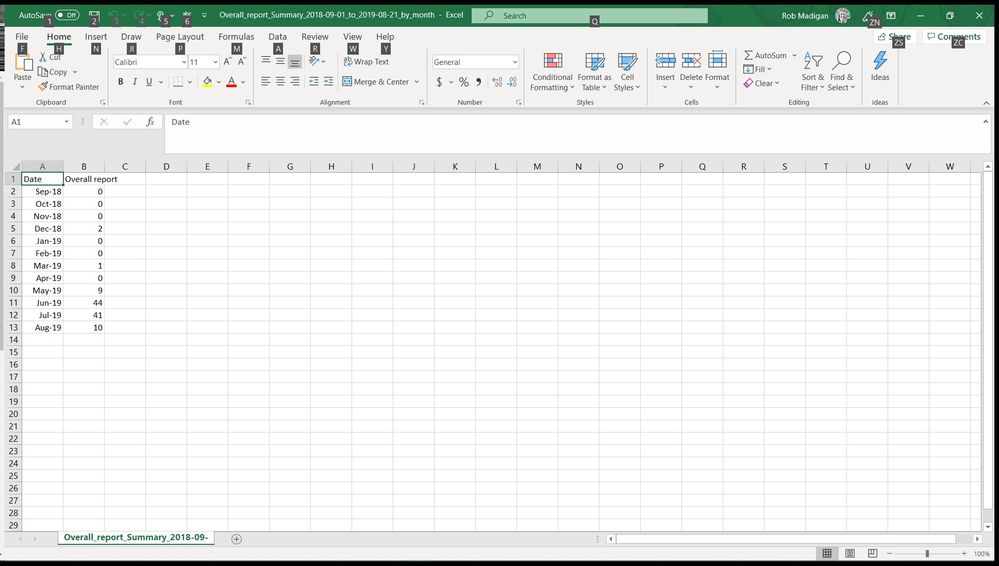Report excel.jpg