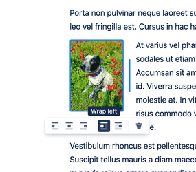 Screenshot 2019-08-22 at 12.32.48.png