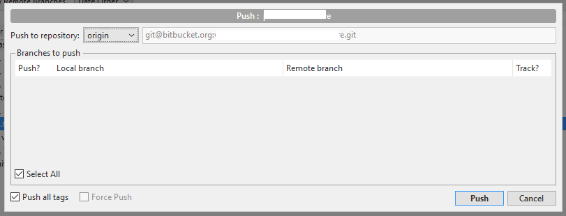sourcetree push.png