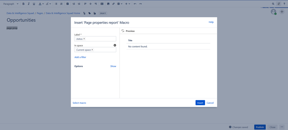 page properties report.png