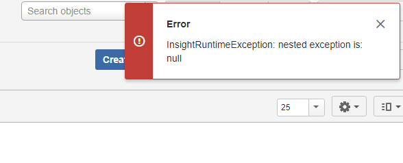 runtimeXception-insight.PNG
