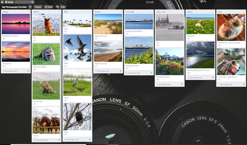 photo portfolio.png