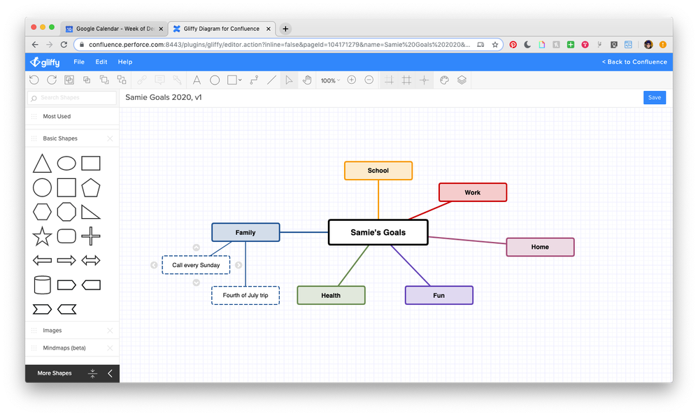 SamieGoalsMindMap_03.png