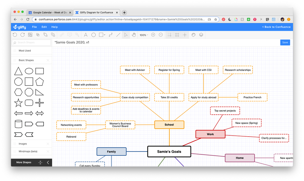 SamieGoalsMindMap_05.png