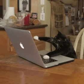 working.gif
