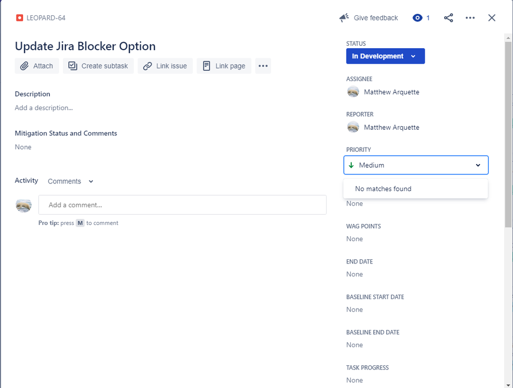 Jira Priority New Issue View Issue.png