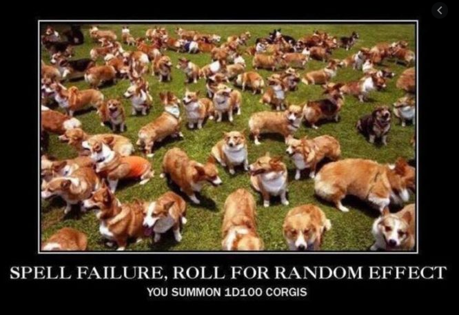 corgi.png