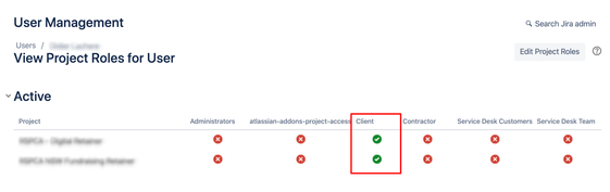 project roles per user.png