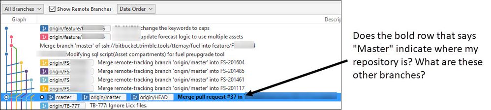 Understanding the repo view.jpg