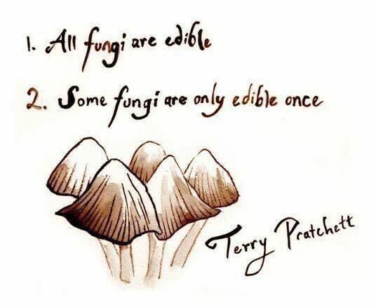 All fungi are edible.jpg