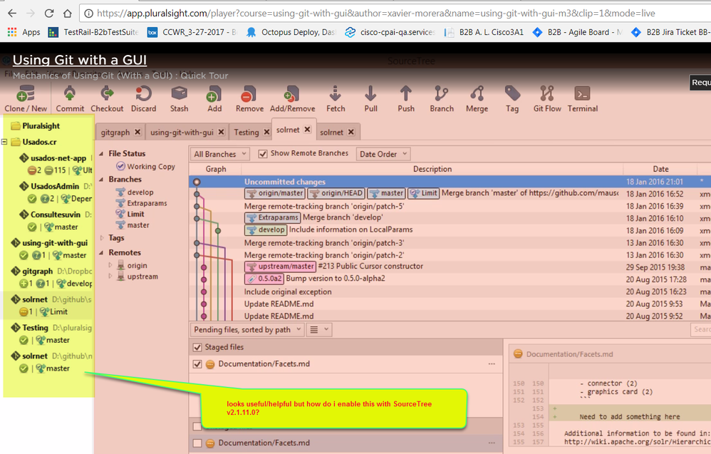 sourcetree.workspaceView.howDoIEnableThisQm.PNG