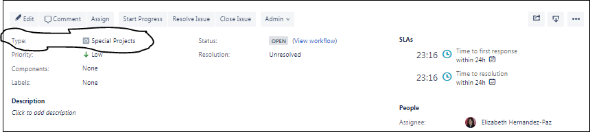 Jira Issue Type not found in new view.PNG