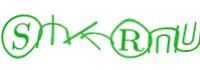 captcha-2.jpeg