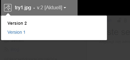 Version vergleich pictureviewer confluence.PNG