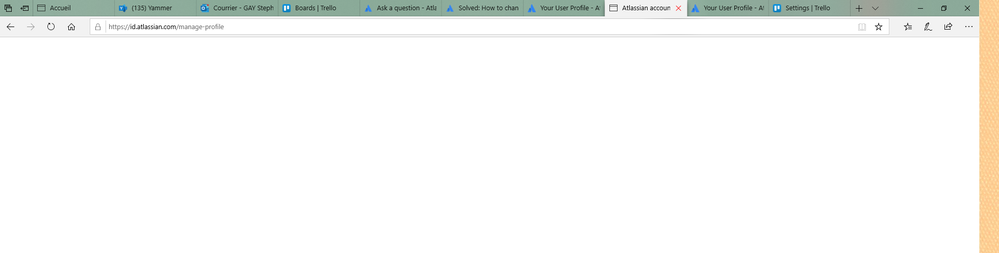 page vide atlassian.PNG