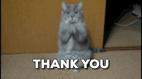 thankyoucat.gif