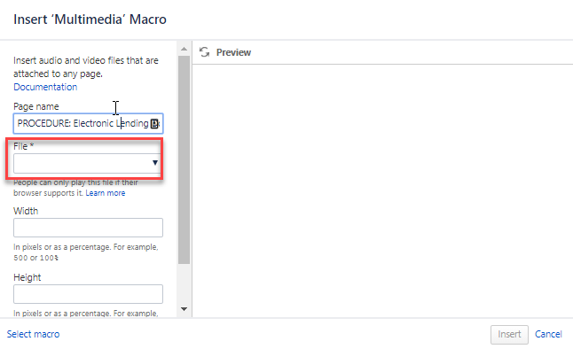 Multimedia Macro - Issue.png