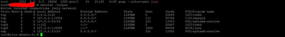 netstat-tulpen.JPG
