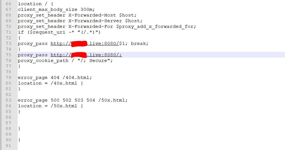 nginx.conf3.JPG