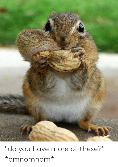 do-you-have-more-of-these-omnomnom-47595940.png