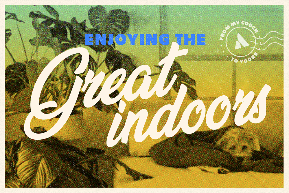 Enjoying the Great Indoors - Dog.png