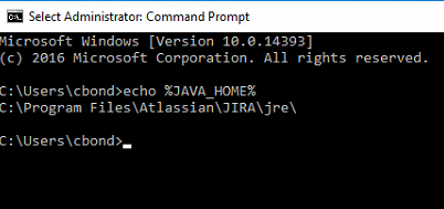 java.PNG