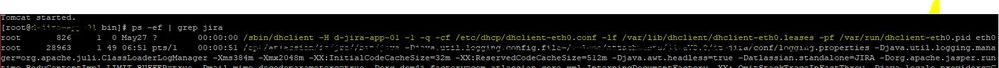 dhclient.JPG