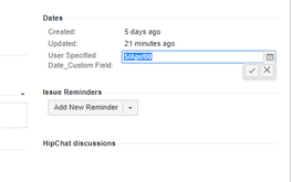 Date Picker Custom Field.PNG