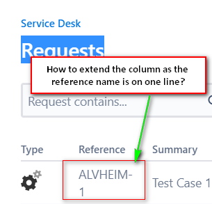 Customer Issue View.png